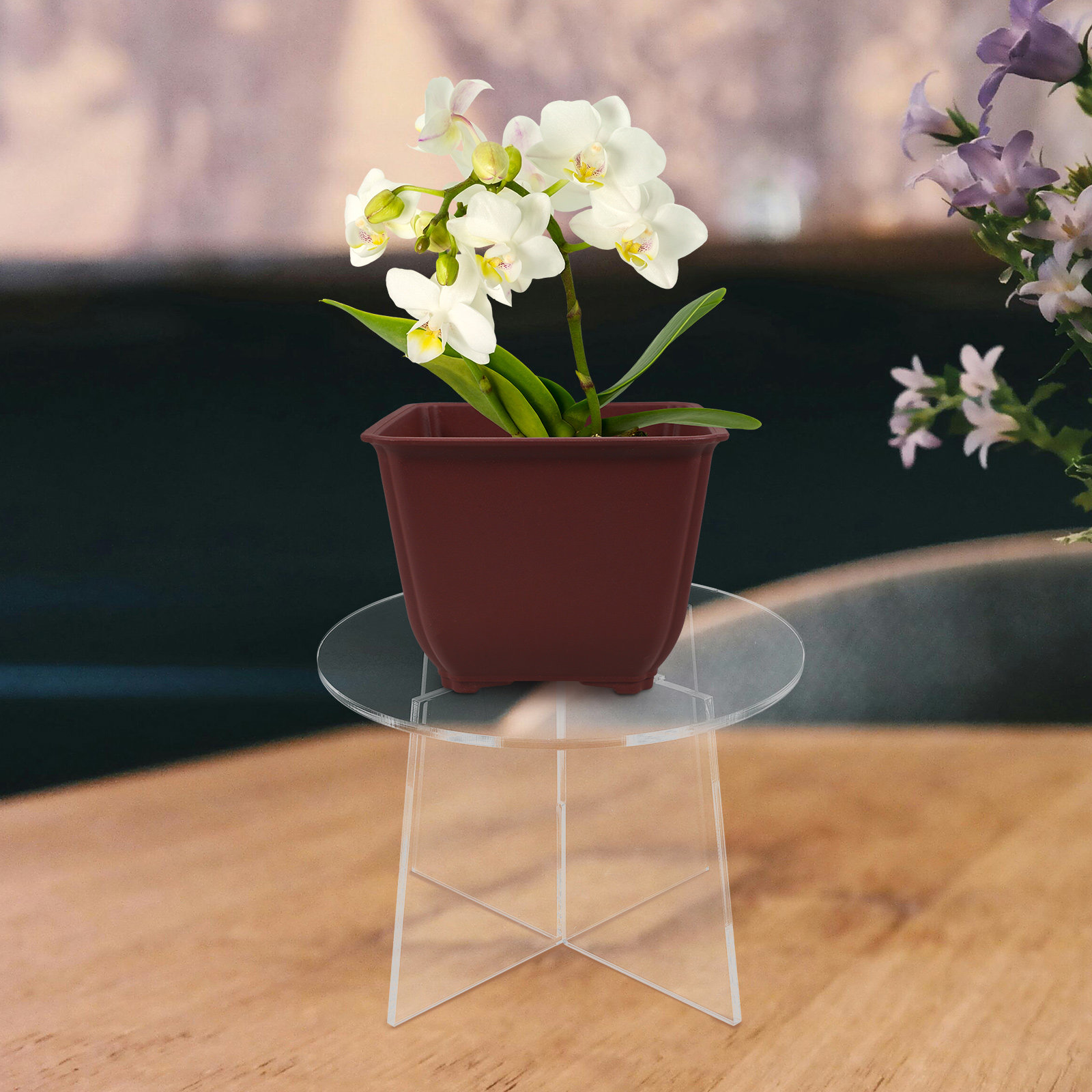 Bonsai Garden Display Stands - Acrylic Plant Stand Stable Flowerpot Display