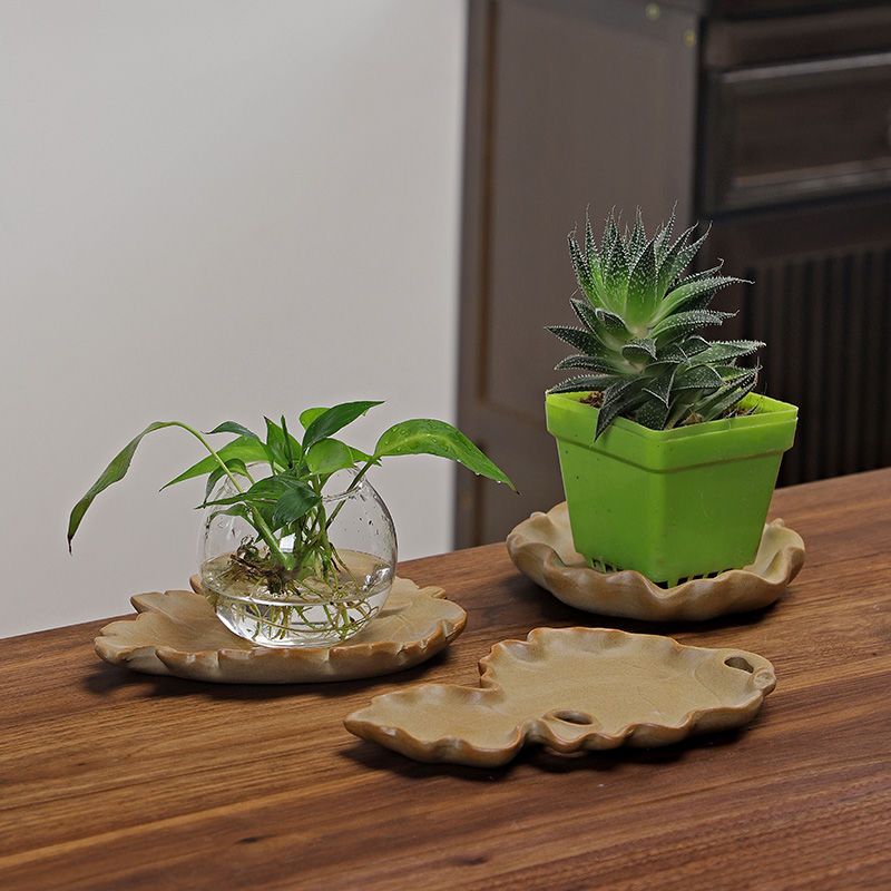 Brazilian Wood Hydroponic Plan - огляд і ціна Drip Tray Saucer