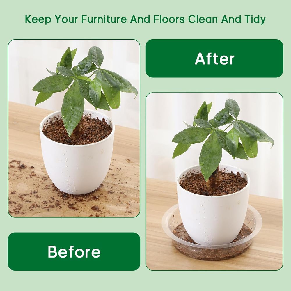 40-Count Clear Plant Saucers - - огляд і ціна Drip Tray Saucer