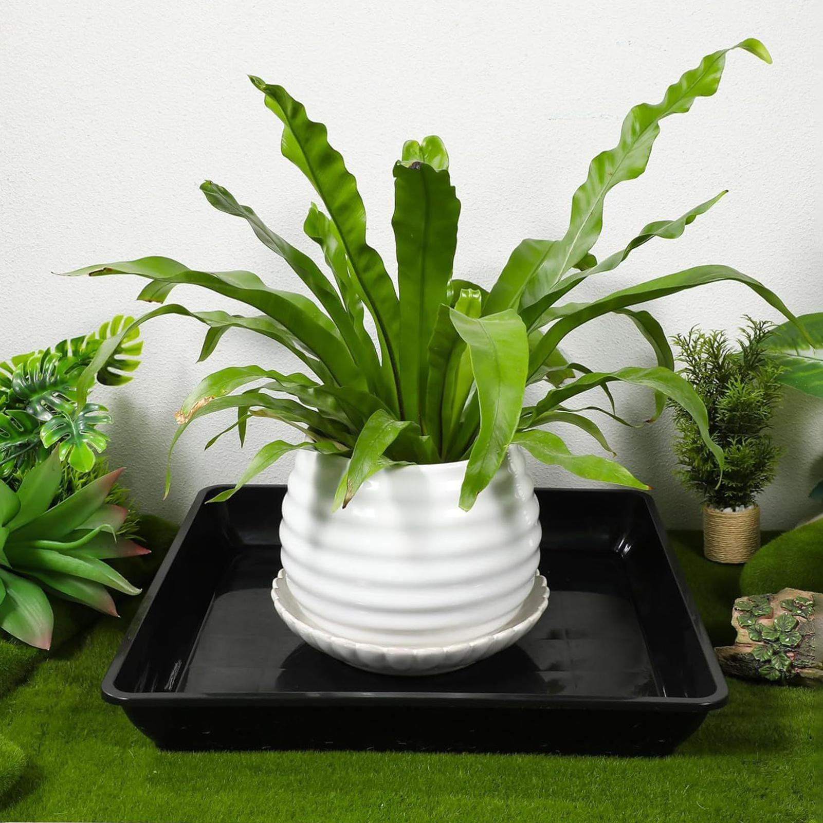 2 Pcs Flower Pot Base Thickene - огляд і ціна Drip Tray Saucer