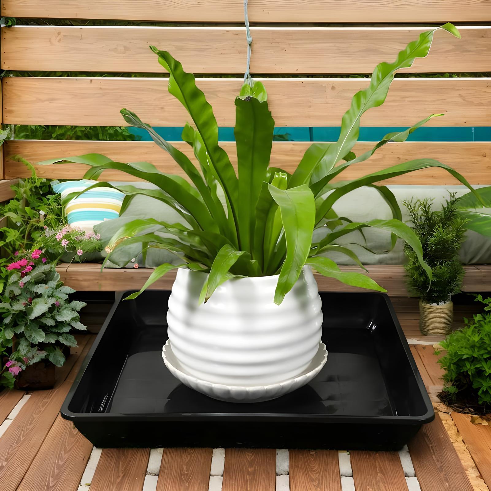 Plant Trays for Pots 2 Pieces  - огляд і ціна Drip Tray Saucer