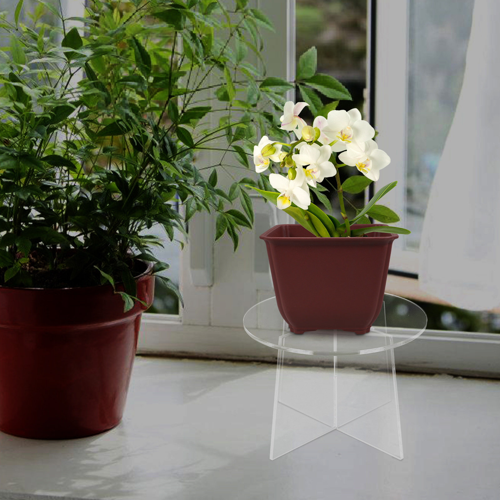 Acrylic Plant Stand Stable Flo - огляд і ціна Bonsai Garden Display Stands